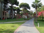 Schöne Gartenanlage