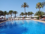 Palmen am Pool
