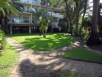 Garten mit viel Schatten