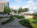 Blick in den Garten