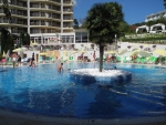 Baum im Pool