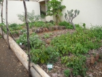 Kräutergarten