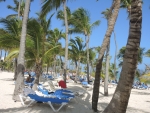 Sehr schöner Strand mit vielen Palmen