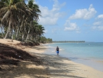 Unberührter Strand im Nordwesten