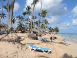 Viele Palmen fast bis ans Meer