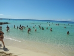 Animation im Meer