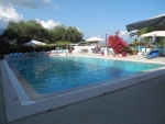 Blick über den Pool