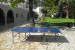Tischtennis