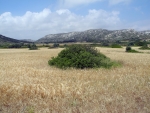 Viel Landschaft