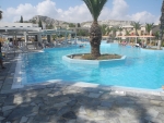 Palme im Pool