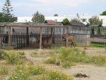 Zoo