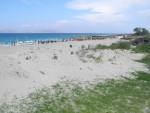 Düne