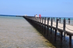 Holzsteg