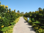 Gartenbereich zwischen Hotel und Strand