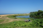 Tümpel am Strand