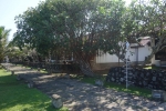 Bungalows im Garten