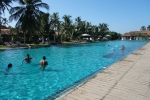 Palmen am 100 m langen Pool