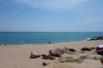 Steine am Strand