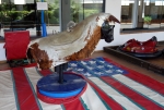 Bull Riding