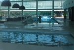 Hallenbad