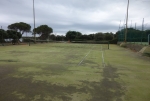 Tennis