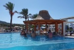 Swim-Up-Poolbar