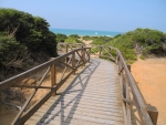 Holzbrücke über der Düne