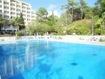 Großer Swimmingpool
