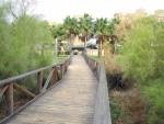 Holzbrücke über die Dünen