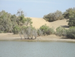 See in der Dünenlandschaft