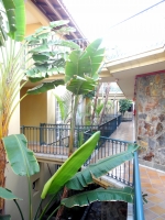 Offene Verbindungsgänge