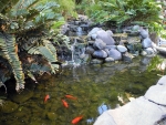 Teich
