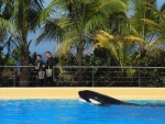 Loro Parque