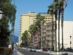 Palmenallee vor dem Hotel