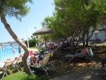 Bäume am Pool