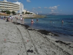 Normaler Badestrand