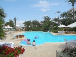 Palmen am Pool