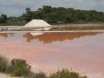 Örtliche Saline