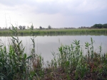 Süßwassersee
