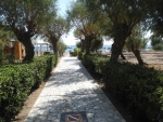 Weg zum Strand