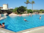 Viele Pflanzen am Pool
