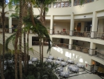 Bäume in der Lobby