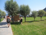 Weg zum Strand
