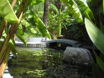 Kleiner Gartenteich