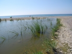 Tümpel am Strand