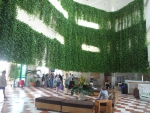 Dicht bewachsene Lobby