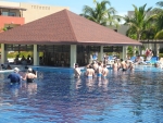Swim-Up-Poolbar