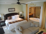 Silver Junior Suite