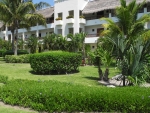 Gepflegter Garten