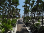 Weg zum Strand